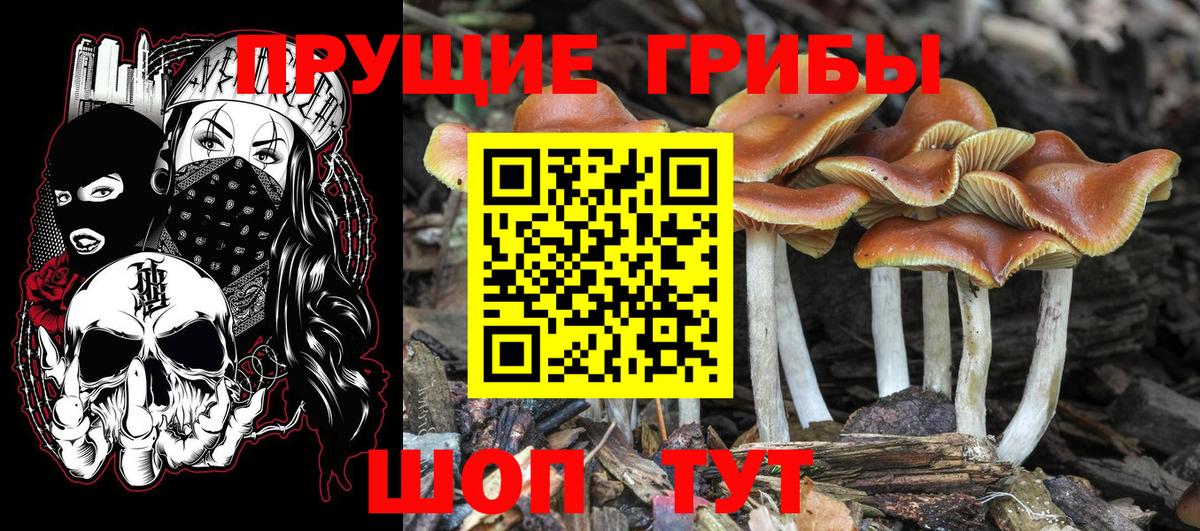 Артёмовский  Псилоцибиновые грибы ЛСД  наркота  Псилоцибиновые грибы Psilocybine cubensis  Вход с VPN 